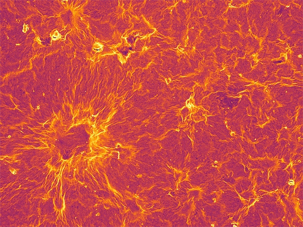 Nanomaterials Field Image
