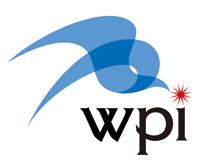 wpi logo
