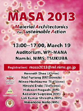 MASA 2013