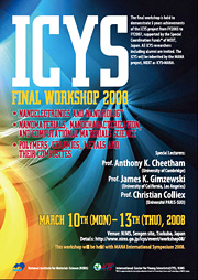 ICYS FINAL WORKSHOP 2008