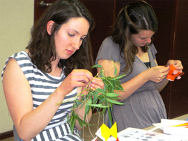 Decorating　a bamboo grass