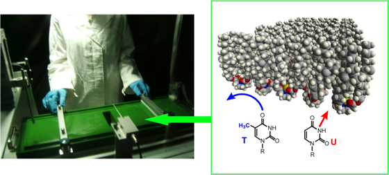 Figure 1, Hand-operating nanotechnology