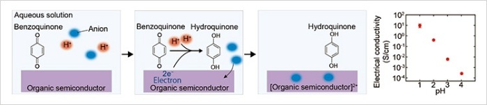 Figure. Schematics illustrating the mechanism of the newly developed chemical doping technique and a graph showing how changes in the pH of a solution can be used to control the doping levels of organic semiconductor thin films.