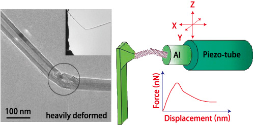 BN nanotube