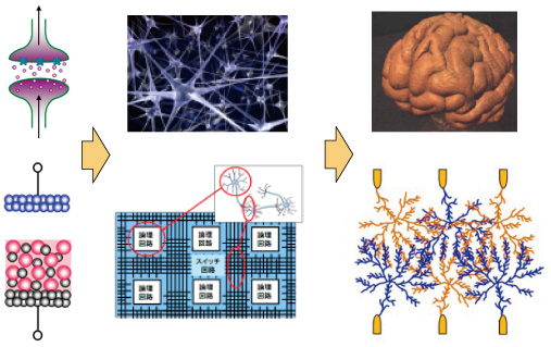 network type nano-system