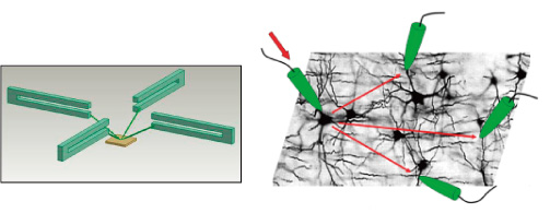 AFM and STM