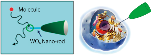 single molecule sensing