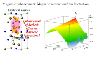 Magnetic enhancement: Magnetic interaction Spin fluctuation