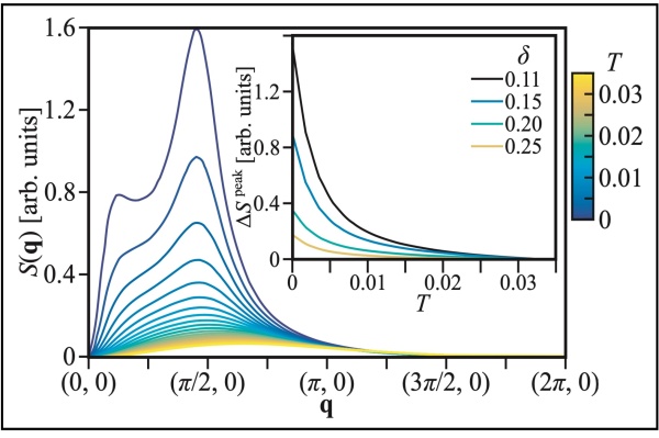 Fig.1. d-wave bond-charge excitation spectrum. A peak develops around the momentum (π/2,0) with decreasing temperature T. The Inset shows the T dependence of the peak intensity for several doping rates δ. Yamase, Bejas, Greco, Phys. Rev. B 99, 014513 (2019)