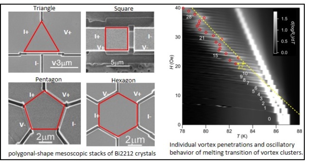 Fig.1. Vortex states confined in high-Tc superconductor Bi2212 of mesoscopic scale. For a triangular Bi2212, see S.Ooi,et al., Phys. rev. B100, 144509 ( 2019 )