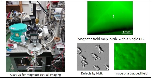 Fig.2. Magneto-optical imaging of magnetic-field distribution in Nb superconductors. Presented in a poster of ISS2019.