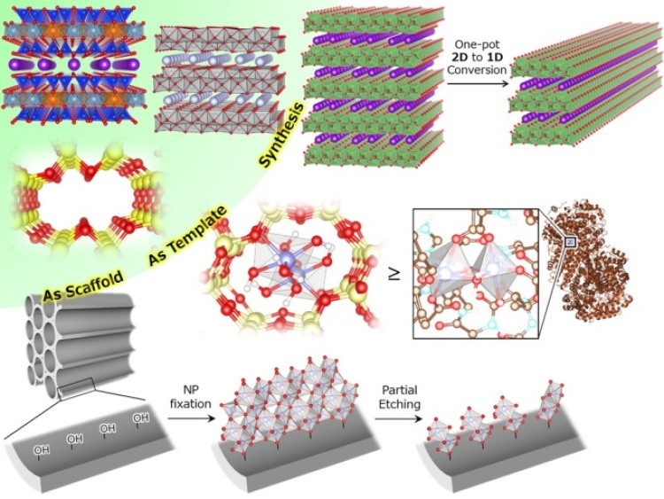 research subject images