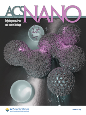 Supplementary Cover journal ACS Nano