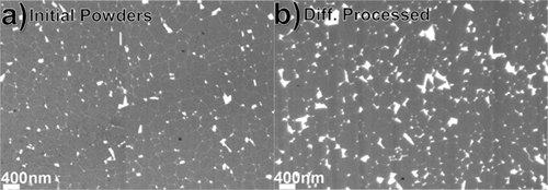 Scanning electron microscopy images