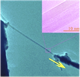 Measurement of Strength of Boron Nitride Nanotubes