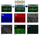 Success in Developing Groundbreaking Electrolyte Materials