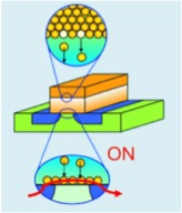 Development of Novel Transistor