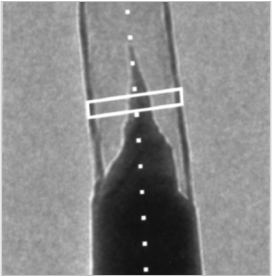 Localized Dynamic Temperature Profiling Along and Across Carbon Nanotube Interconnects