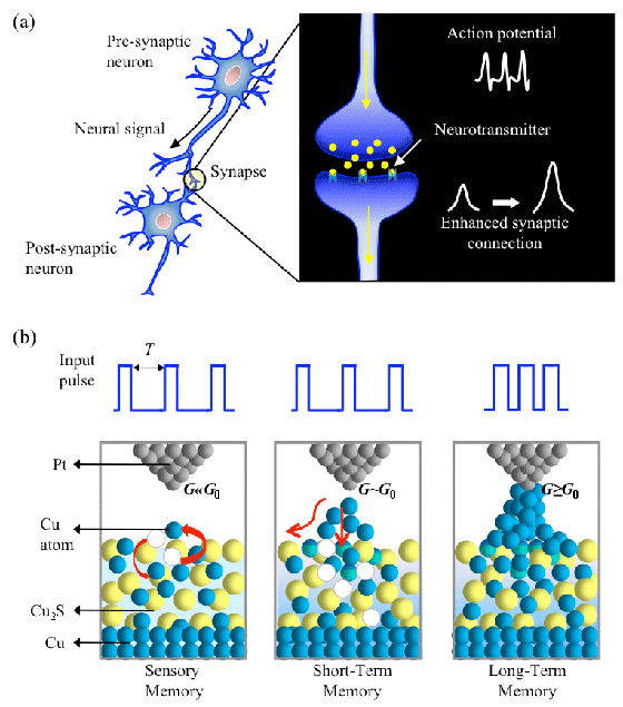 Fig.1