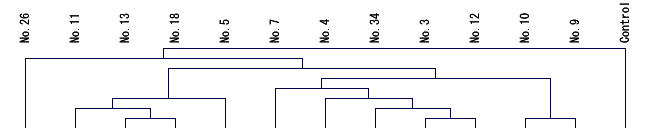 図２　全サンプル間の階層クラスタリング