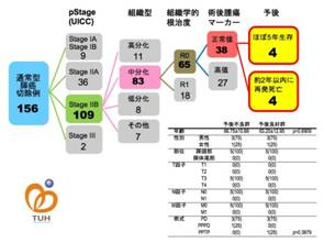 東北大学病院肝胆膵外科における通常型膵癌切除症例の治療成績と今回の解析対象