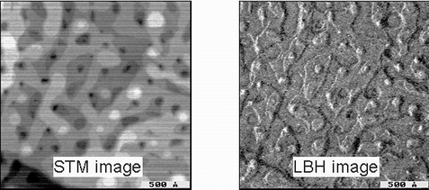 STM LBH Au(111) with nanopits