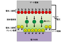 図1: 全固体電気二重層トランジスタの模式図