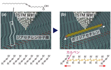 図1: 単一導電性高分子ナノワイヤー作成手順。(a) 分子膜の任意の位置にSTM探針で刺激を与えて励起します。(b) カルベン等の反応活性な末端が次々とドミノ倒しのように隣の分子と結合し、連鎖重合反応が進行します。