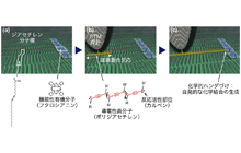 図3: 化学的ハンダづけの模式図。