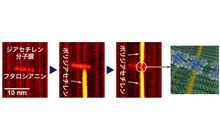 図4: 化学的ハンダづけによりフタロシアニン分子に２本のポリジアセチレン鎖を接続したSTM像と模式図。