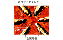 図5: 六方晶窒化ホウ素基板上に微小金属電極を作成し、電極間に単一のポリジアセチレン鎖を作成した原子間力顕微鏡（AFM）像。