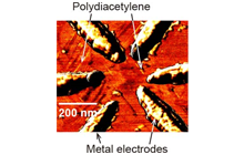 Figure 5. Atomic force microscopy (AFM) image of single polydiacetylene chains fabricated between metal nano-electrodes on an h-BN substrate.