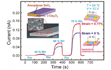 Figure 3. Inset: Schematic drawing and SEM image of Ga2O3 · SnO2-core/shell wire. Dynamic response of the flexible core/shell sensor to different levels of relative humidity (RH), under a strain of 0 % and 0.77 %, at 24℃.