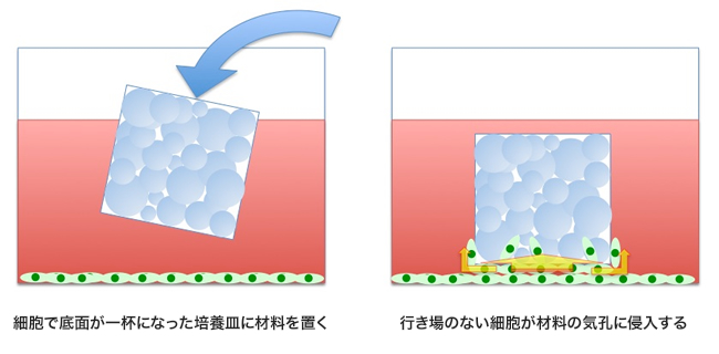 「今回の試験法の基本アイデア」の画像