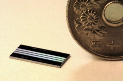 「プレス資料中の図1: シリコン上非線形光学デバイス : 黒く見えるシリコン基板の上に白く見える強誘電体導波路が作製され波長変換機能が実現されている。。」の画像