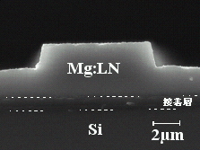 「プレス資料中の図3: リッジ導波路の電子顕微鏡写真 : ドライエッチングにより垂直に切り立ったリッジ構造が得られている。」の画像