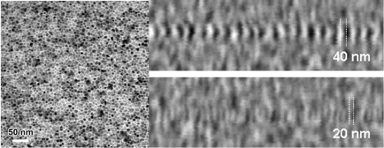 「プレス資料中の図1 (左) FePtAgナノ粒子分散垂直磁化膜の電子顕微鏡像と (右) 静的熱アシストヘッドによる記録ビットのパターン」の画像