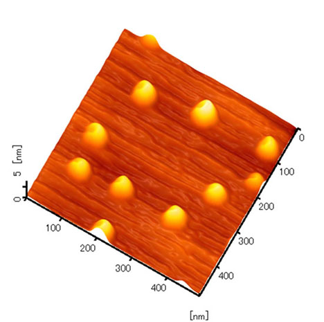 「プレス資料中の図1 : 今回用いたガリウム砒素量子ドットの原子間力顕微鏡写真」の画像