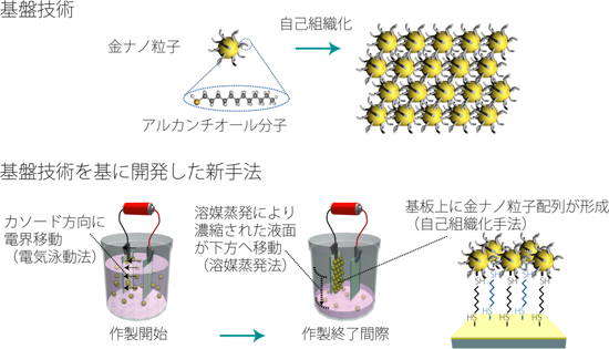 「プレス資料中の図2:金ナノ粒子を並べる手法  (上) 基盤となる自己組織化手法  (下) 基盤技術を基に開発した新手法」の画像