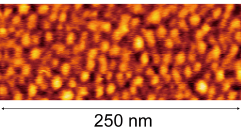 「プレス資料中の図3 : 30℃の成長温度でガリウム照射量を3原子層まで減少させて形成した超高面密度量子ドットの原子間力顕微鏡像。7.3×1011/cm2の超高面密度が達成されている。」の画像