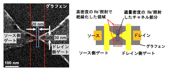 「プレス資料中の図2:試作した素子のヘリウムイオン顕微鏡像と模式図」の画像