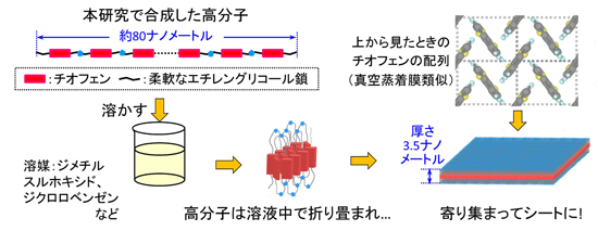 「プレス資料中の図1 : チオフェン超分子ナノシート形成過程の模式図」の画像