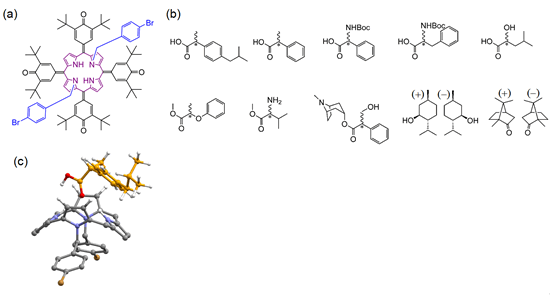 「プレス資料中の図1: 図1. (a) 独自開発したプロキラル型NMRキラルシフト剤である構造対称なポルフィリン試薬。 (b) プロキラル型NMRキラルシフト剤を用いて、光学純度を求めることが出来た多種多様なキラル分子の例。(c) ポルフィリン誘導体とキラルな分子から成る1 : 1型錯体の模式図。」の画像