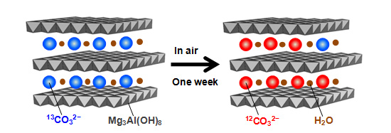 「プレス資料中の図1 : ハイドロタルサイトに含まれる炭酸イオンと空気中の二酸化炭素の交換」の画像