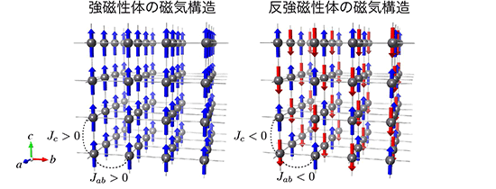 「プレス資料中の図1 : (左) 強磁性体の磁気構造の模式図。 (右) 反強磁性体の磁気構造の模式図。青色矢印が上向き電子スピン状態を、赤色矢印が下向き電子スピン状態をそれぞれ表しています。また、JabおよびJcは磁性イオン間に働く交換相互作用を表しています。」の画像