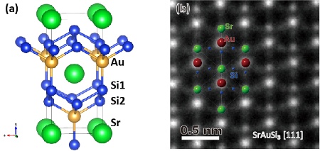 「プレス資料中の図1 : 　SrAuSi3の(a)結晶構造と、(b)走査透過型電子顕微鏡 (STEM) 格子像」の画像