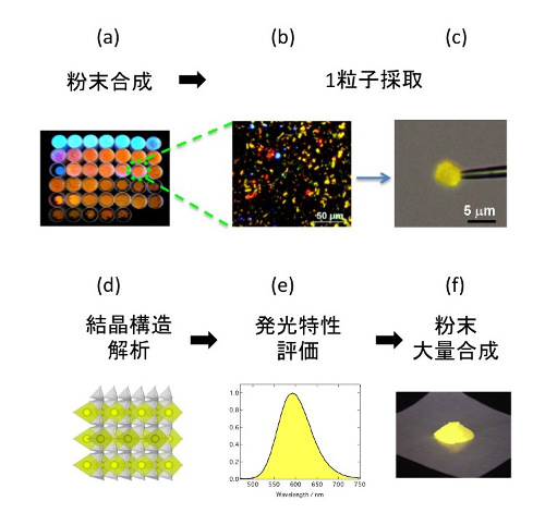 「プレス資料中の図1 : 単粒子診断法による新蛍光体開発の流れ」の画像