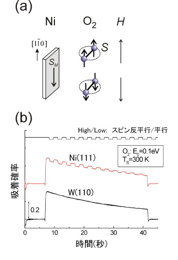 「プレスリリースの図1 : (a)磁場による酸素分子のスピン制御。(b)測定した酸素吸着確率スピン依存性。Ni(111)薄膜の多数スピン(SM)に対する酸素分子のスピンの向きを制御信号に従い反平行/平行と変化させると、酸素吸着確率が変化する。」の画像
