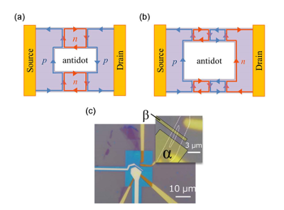 「プレスリリースの図 : 　(a)はpn接合が偶数個のとき、(b)は奇数個のときの量子ホール端状態を流れる電流を示しています。この二つ場合の伝導度が質的に異なることを本研究では報告しています。(c)はパリティ実証に用いたグラフェン試料の光学顕微鏡写真です。拡大図の白線で囲んだ部分がアンチドットを持つグラフェン (グラファイト) で、αとβがトップゲート電極です。この試料ではpn接合が0,1,2,3本の場合を実現できます。」の画像