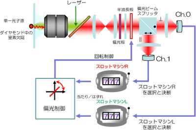 「プレスリリースの図2 :  単一光子を用いた意思決定システムのアーキテクチャ」の画像